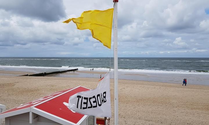 Gosch am Strand